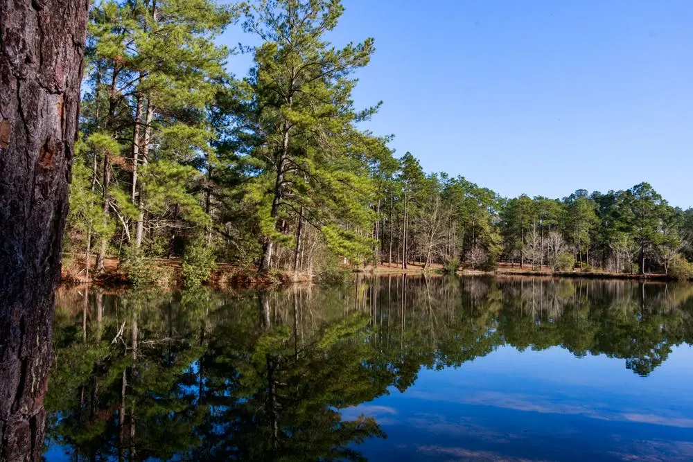 General Coffee State Park
